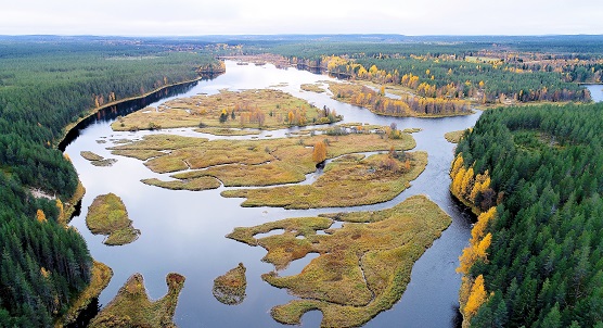 Iijoki. Petri Voutilainen